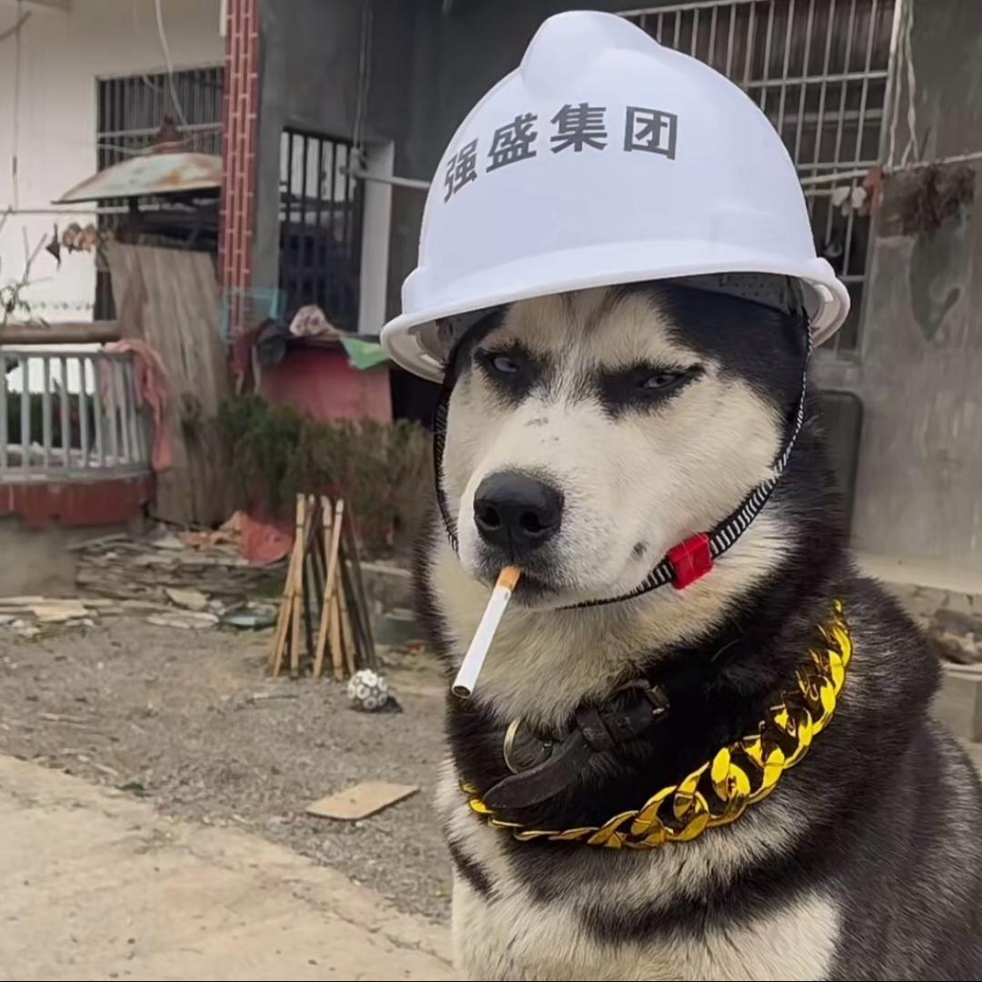 马一周
