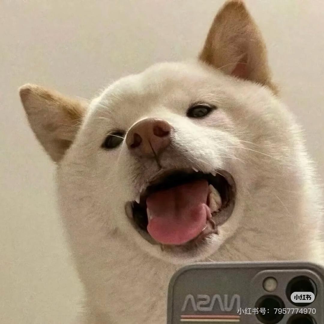 卷柏
