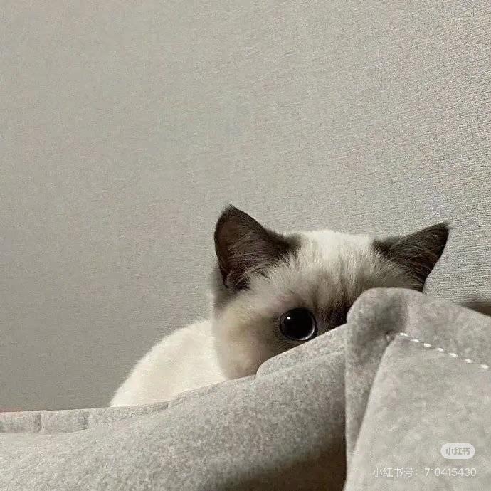 薏