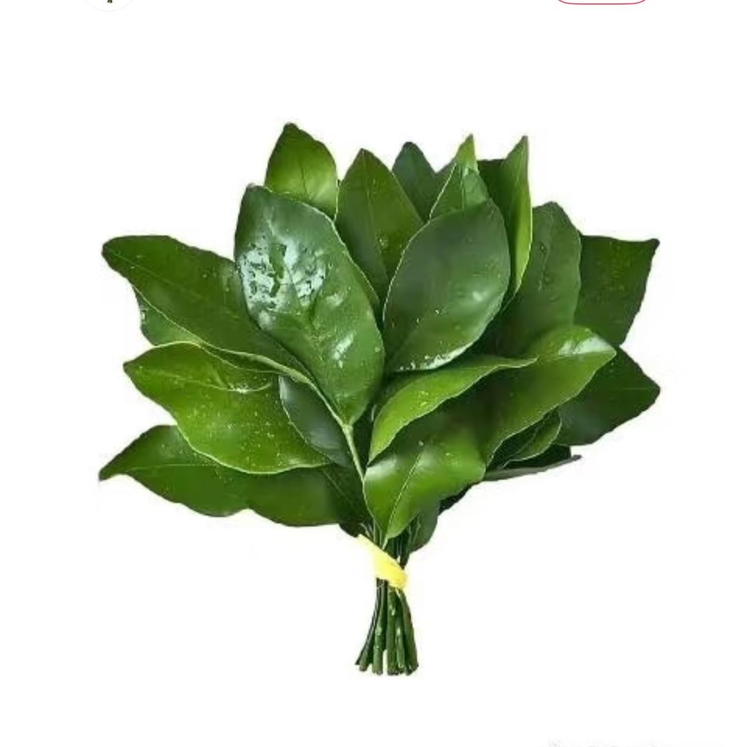 炜火火