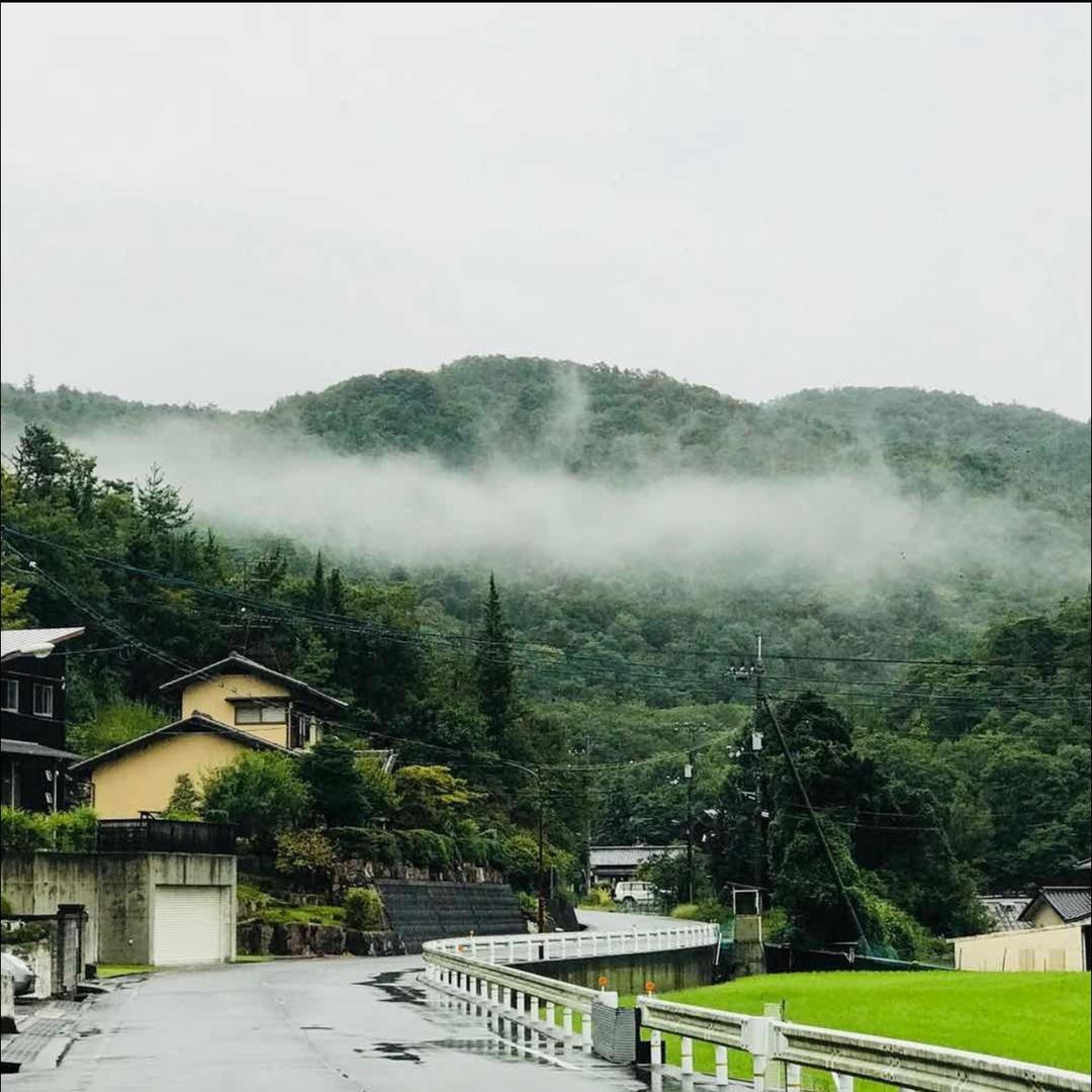 毛格里
