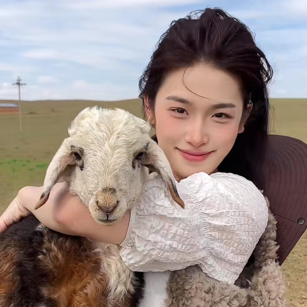 VV阿