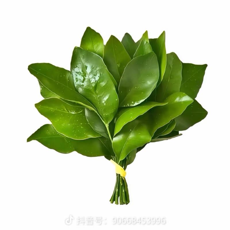 温温