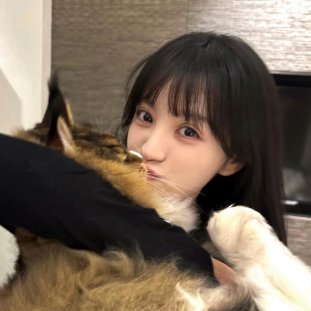 失眠豆包
