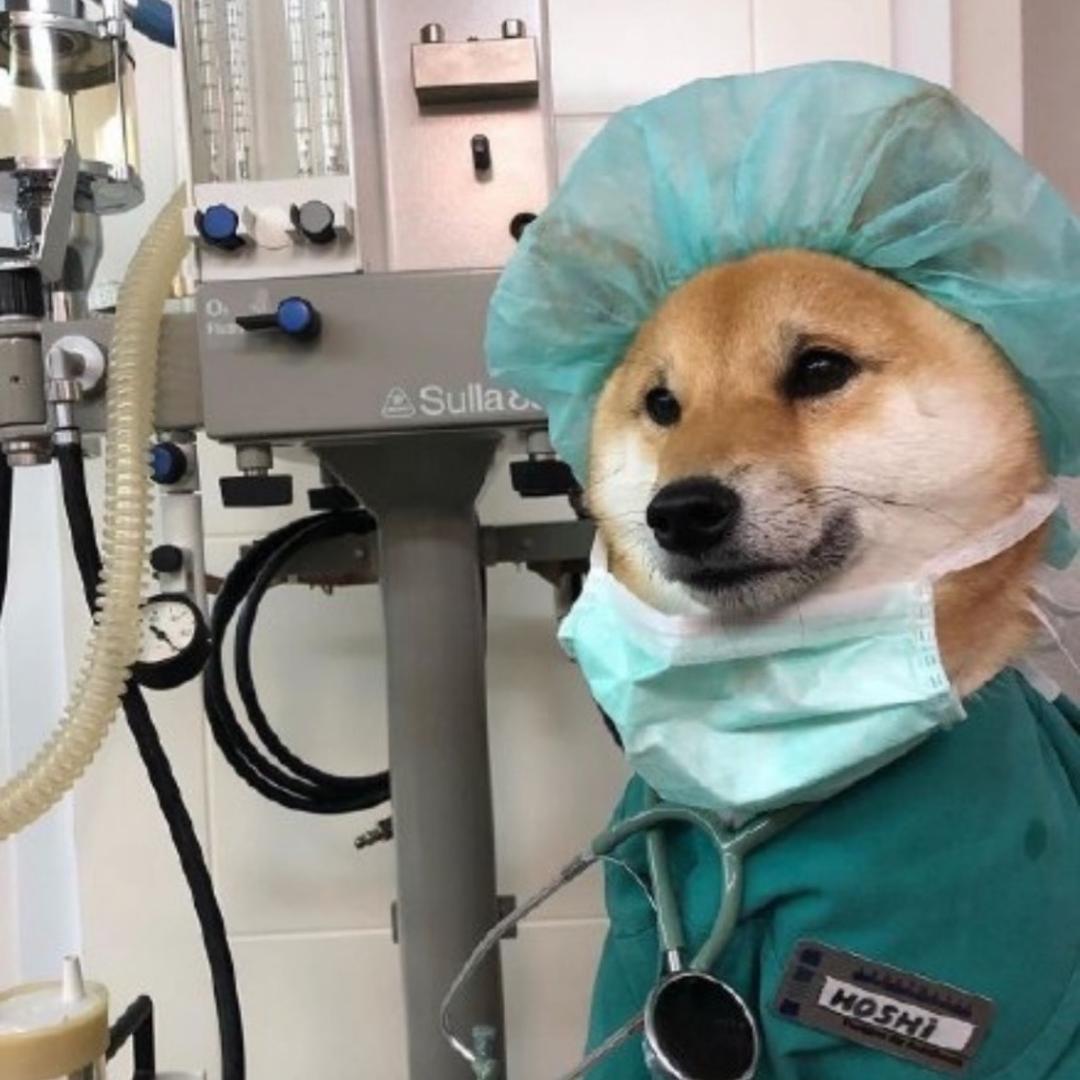 爱卤鸭的小张🎣