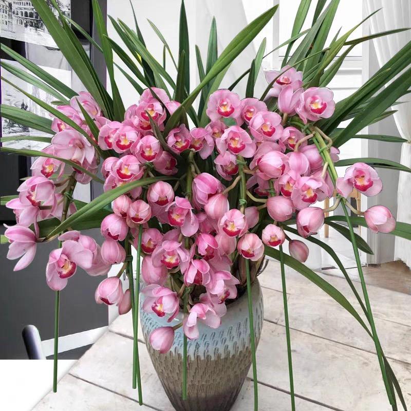 馨博农产品优选