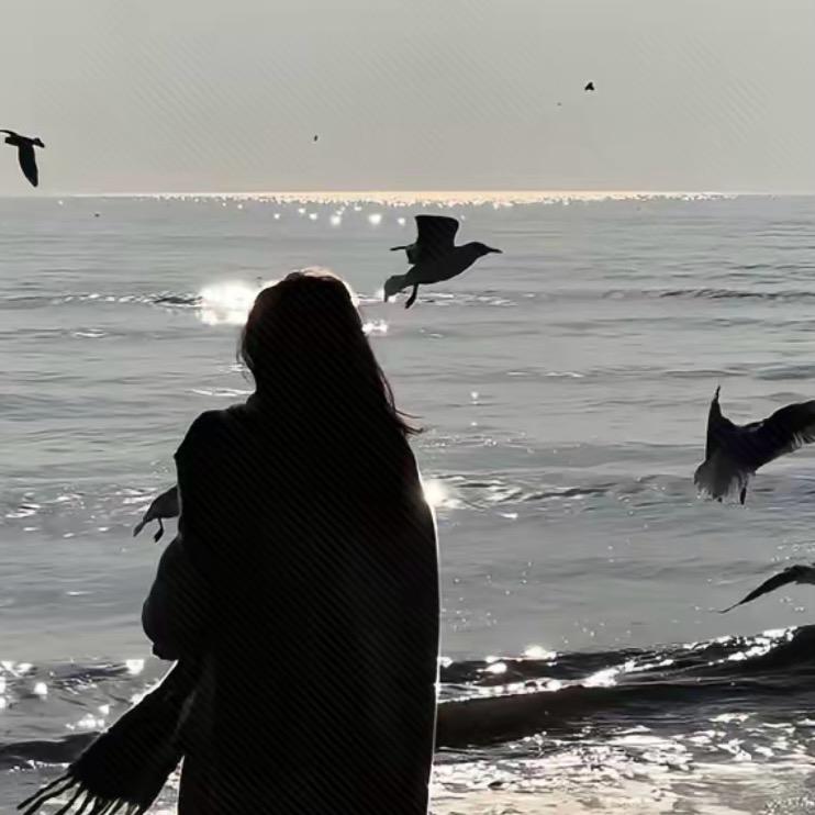 莓泥不行ʸᵃ.ʚ