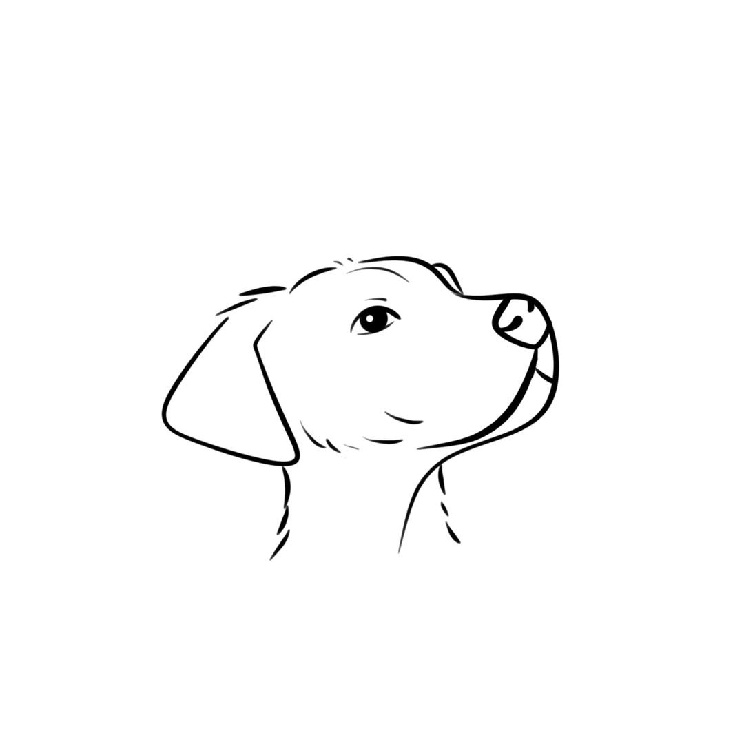 皮皮驴宠物咨询