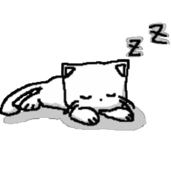 预言小猫