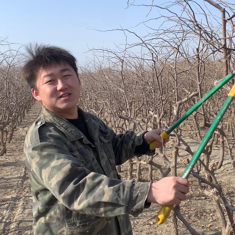 疆南仁好干果