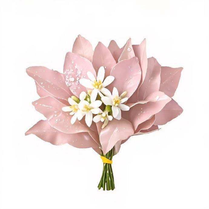 鲤鱼不会吐泡泡