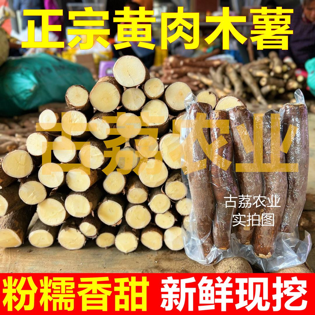 古荔农业-黄肉木薯供应链