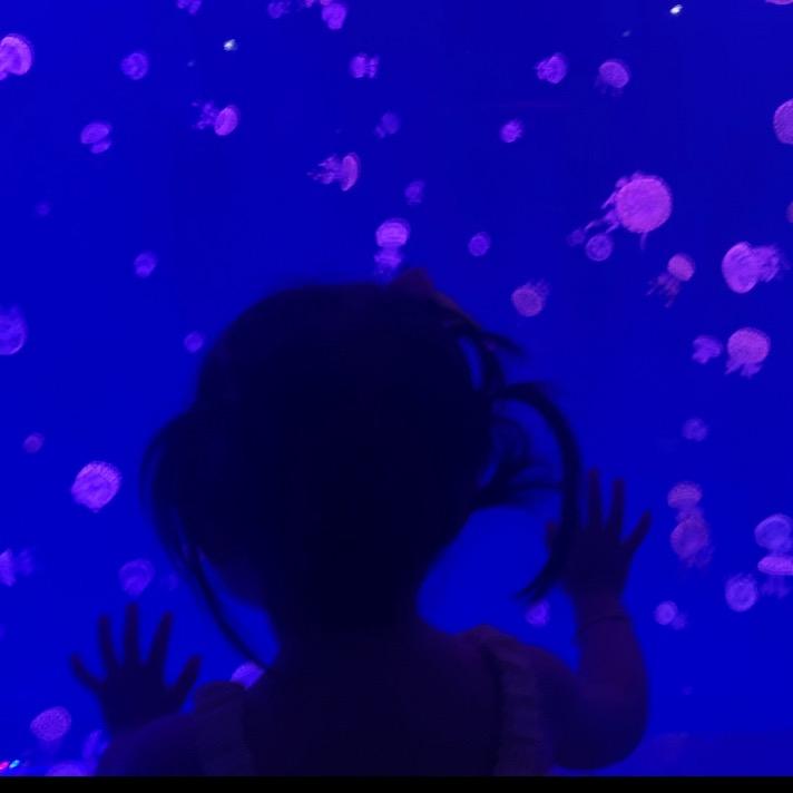 妖妖