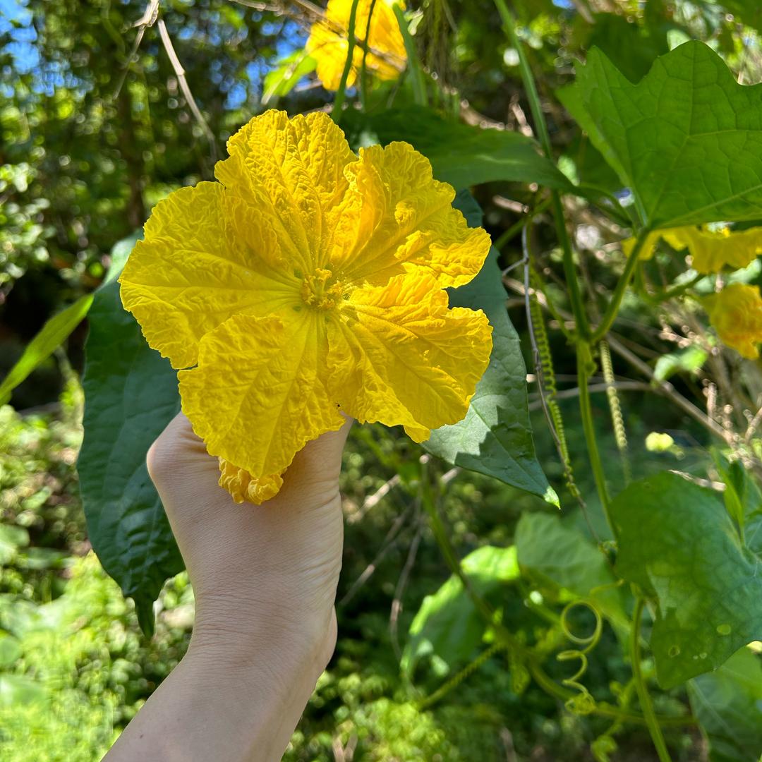 交通事故、工伤理赔