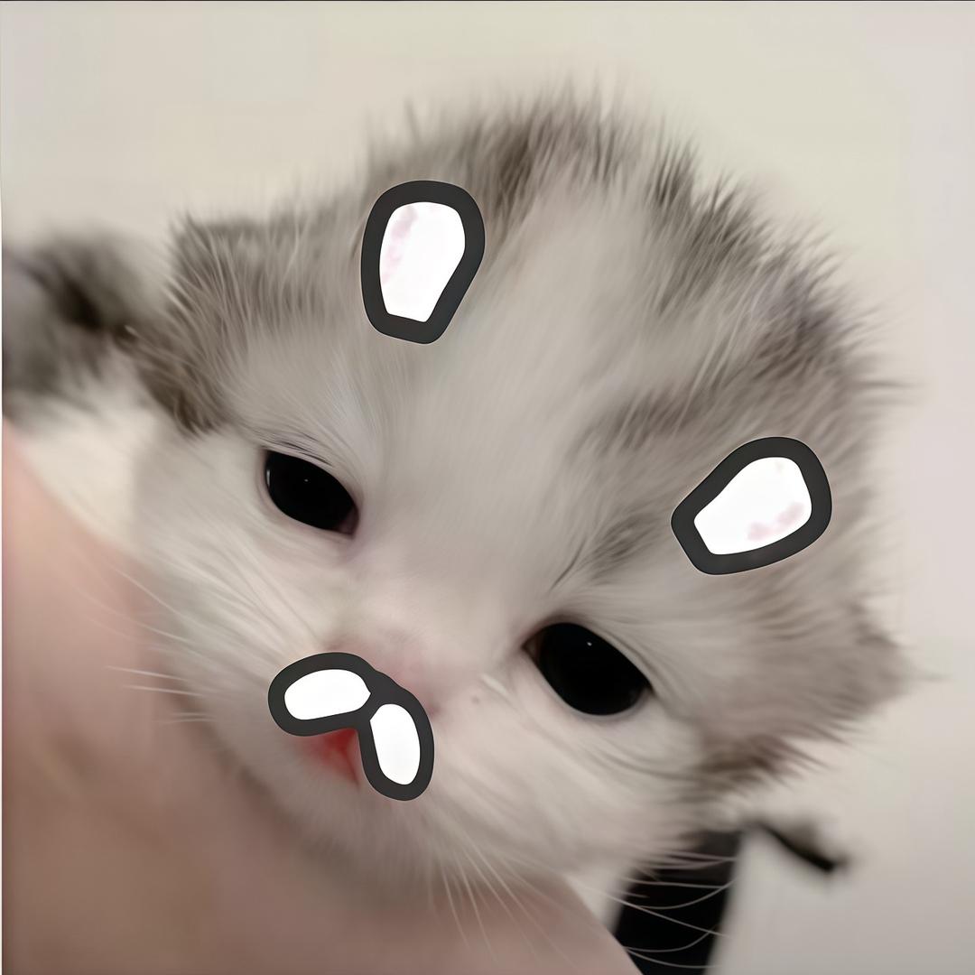 你也喜欢小猫吗