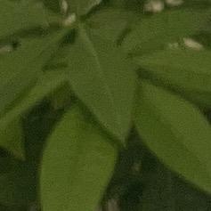【