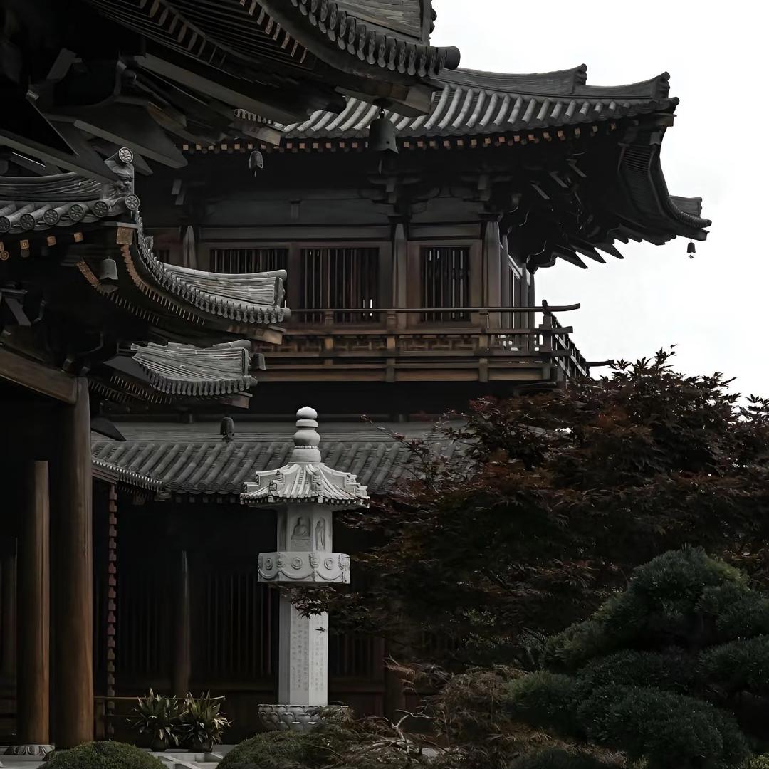 观化听风