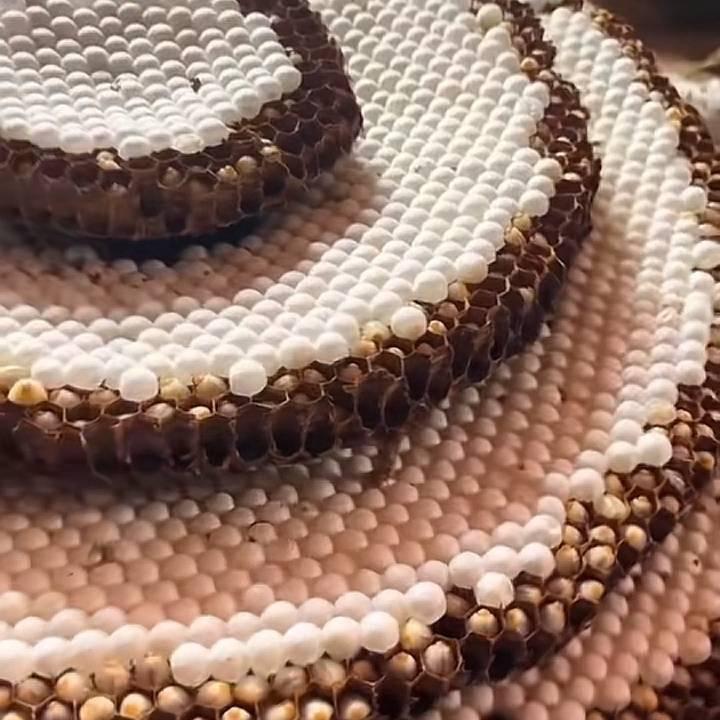 昆嵛山九龙池小江山货