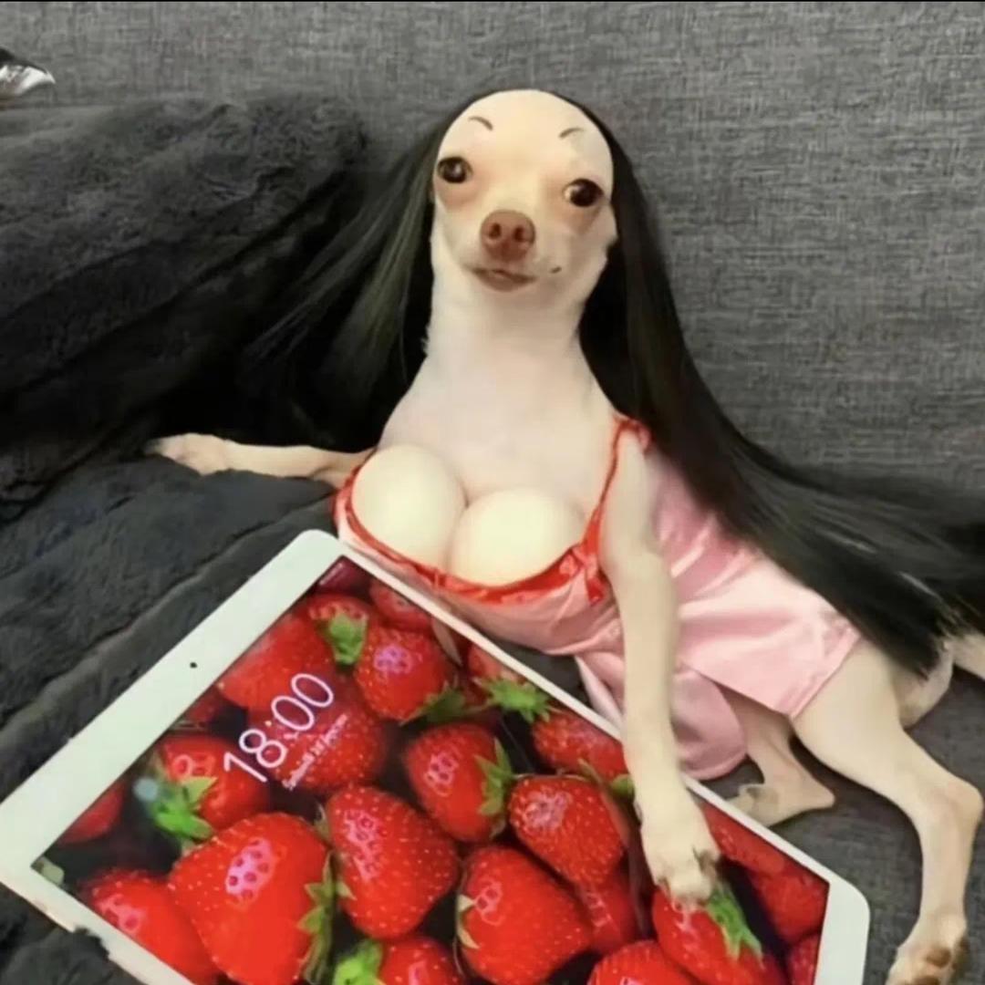 小嘎啦