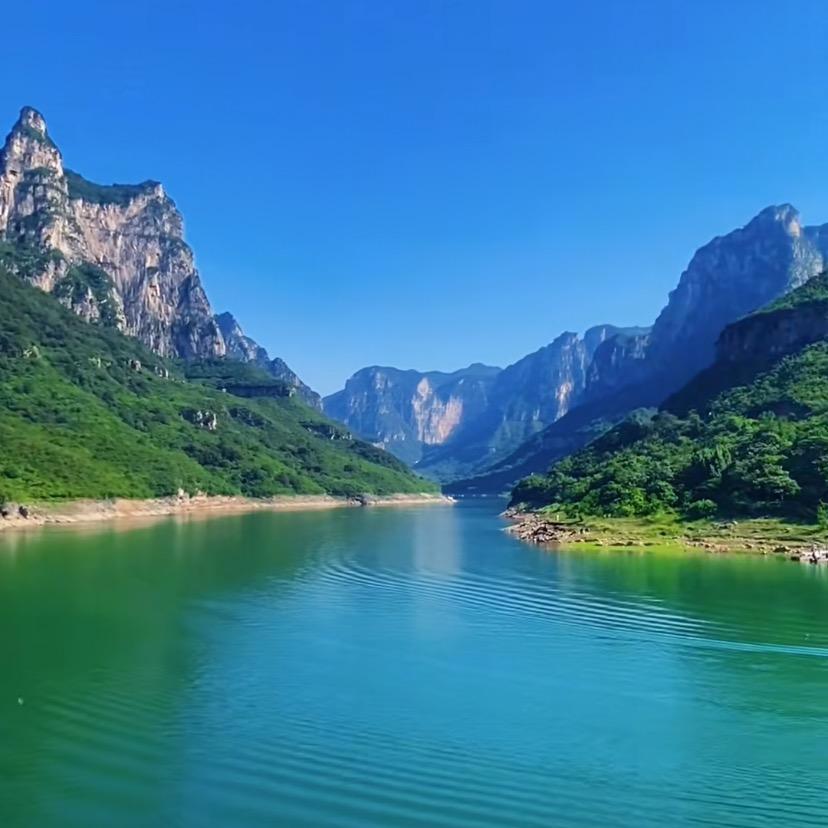 闻喜一棵葱