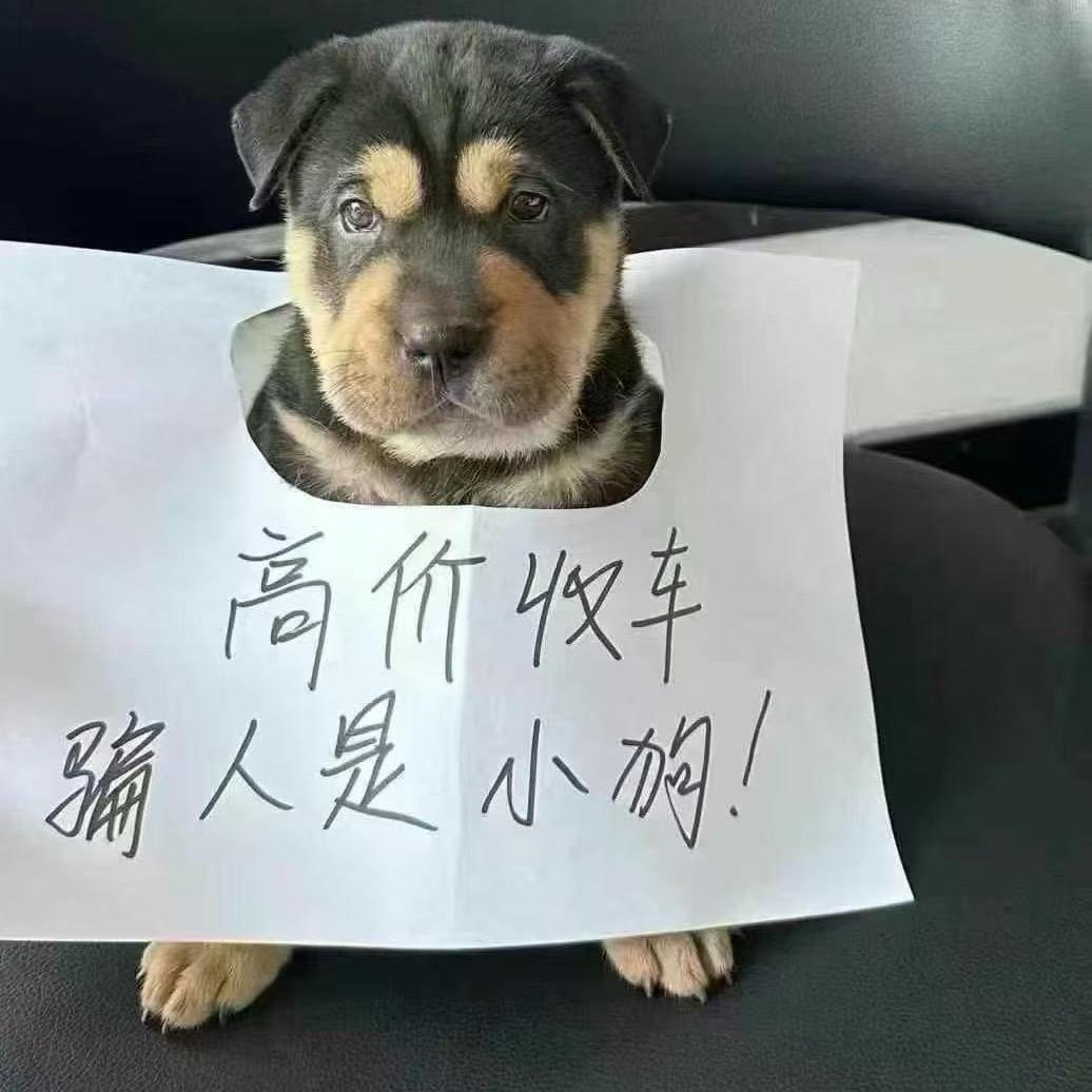 精品二手摩托车（支持以旧换新）送货上门