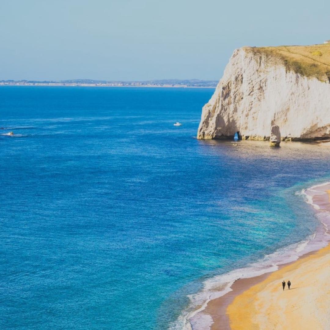 积极上进的五木同学