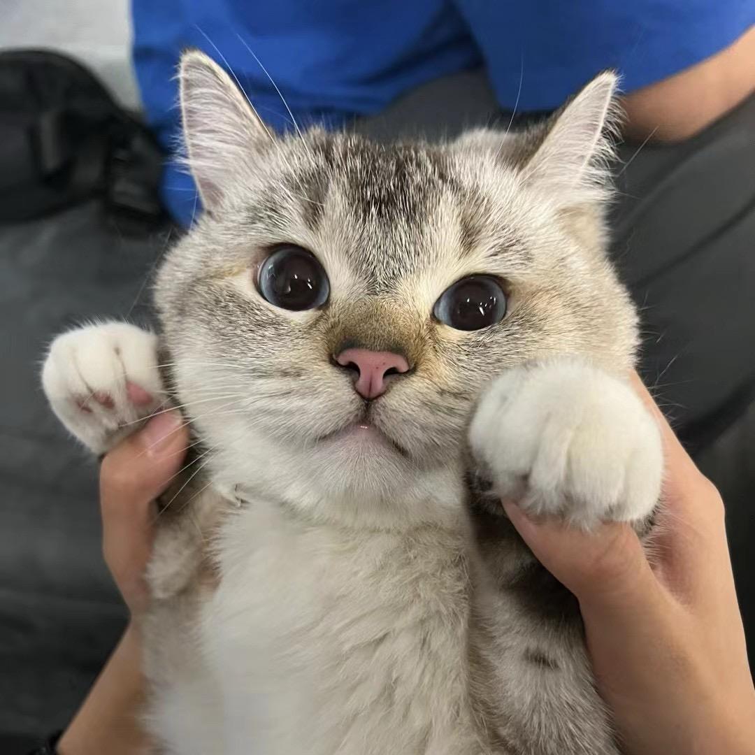 JD