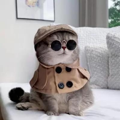 暴力熊🐻