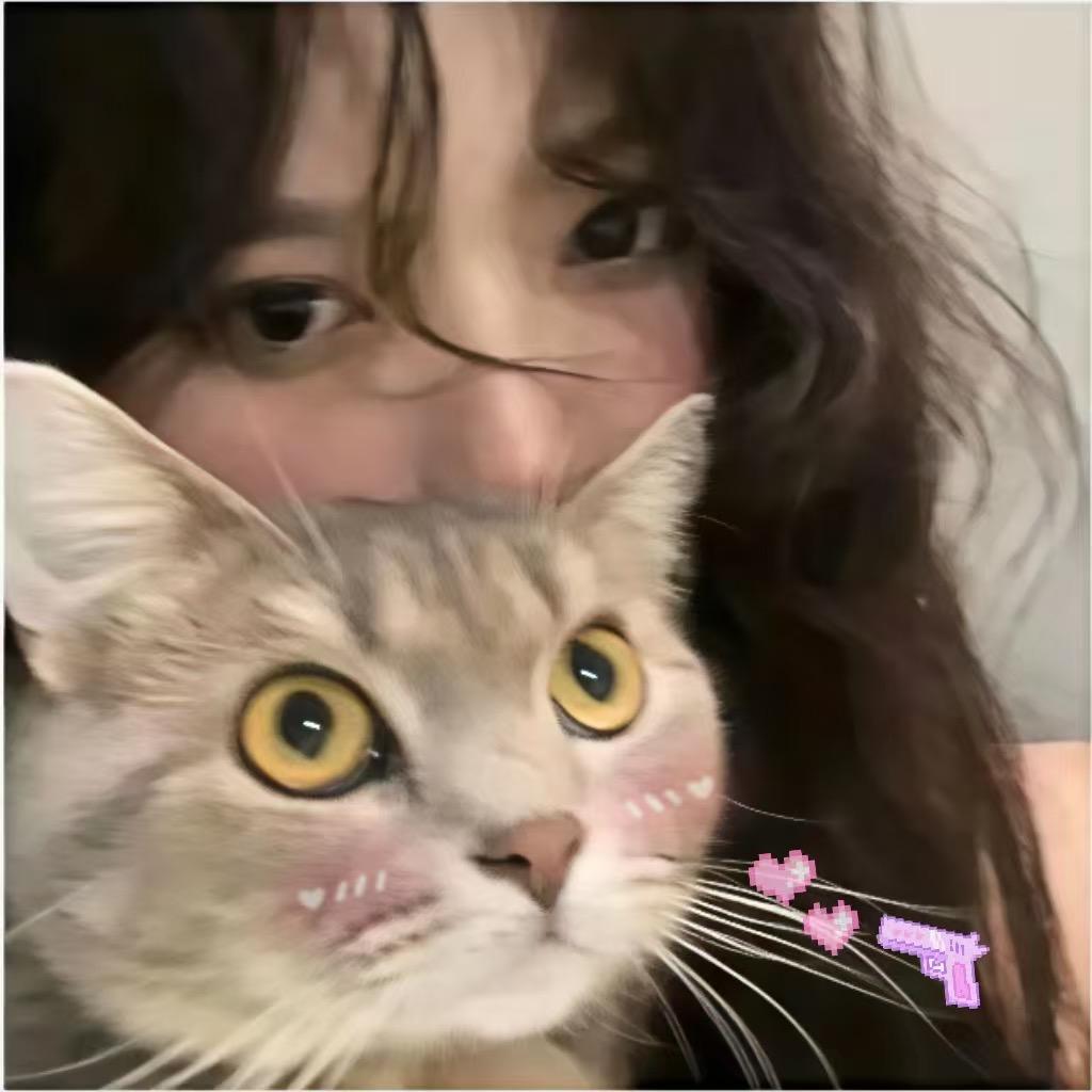 刺猬小姐