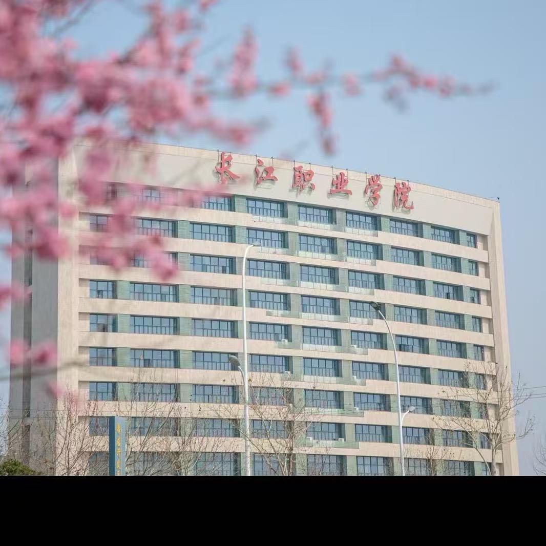 长职招就处钟老师