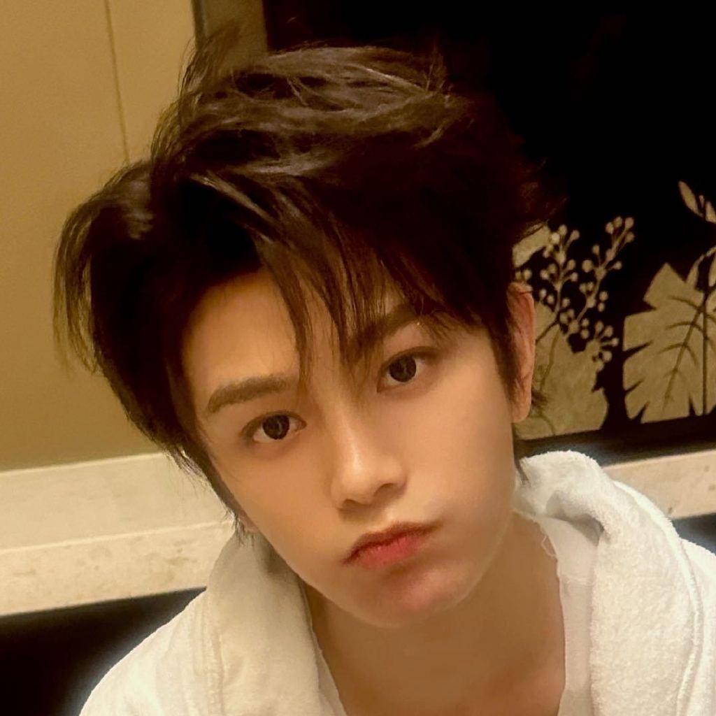 叮叮哈哈是俩猫💚Ryan
