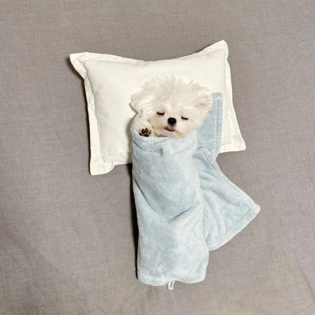 朝如青丝暮成雪。