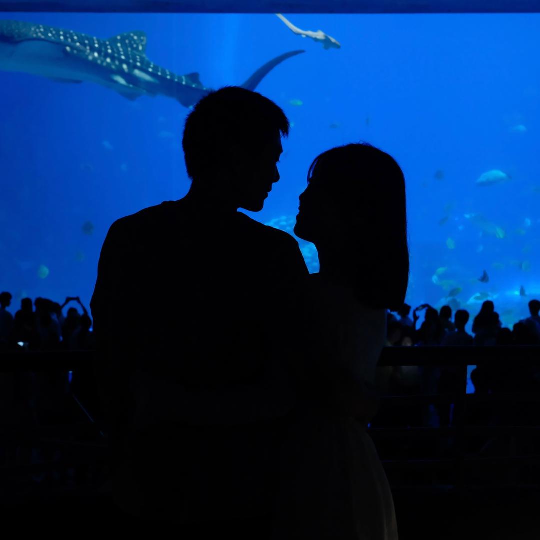 紫定能橙同学🍊