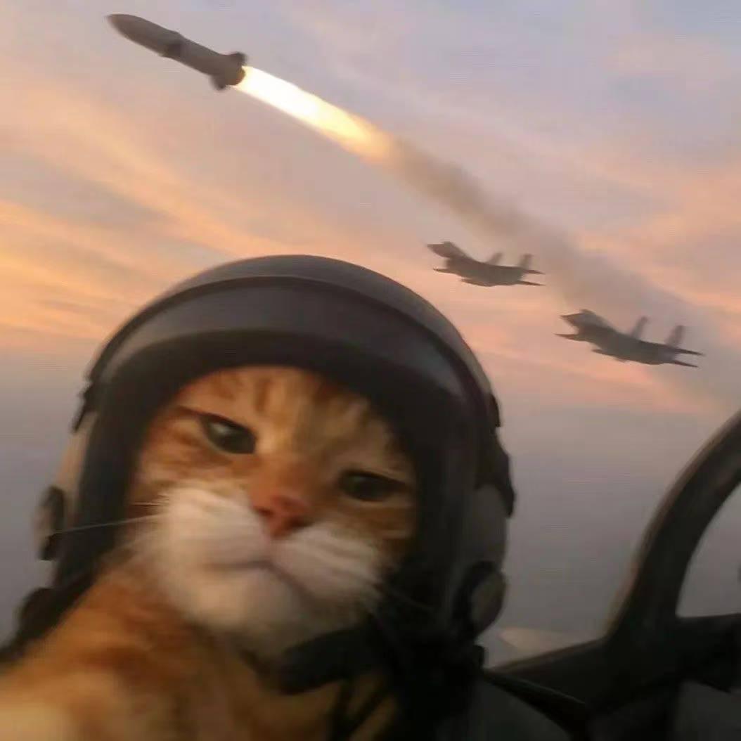 晓爱（三角洲跑刀鼠鼠）