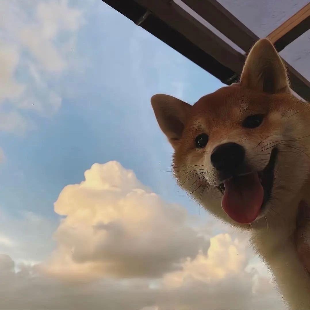 rrrrrr
