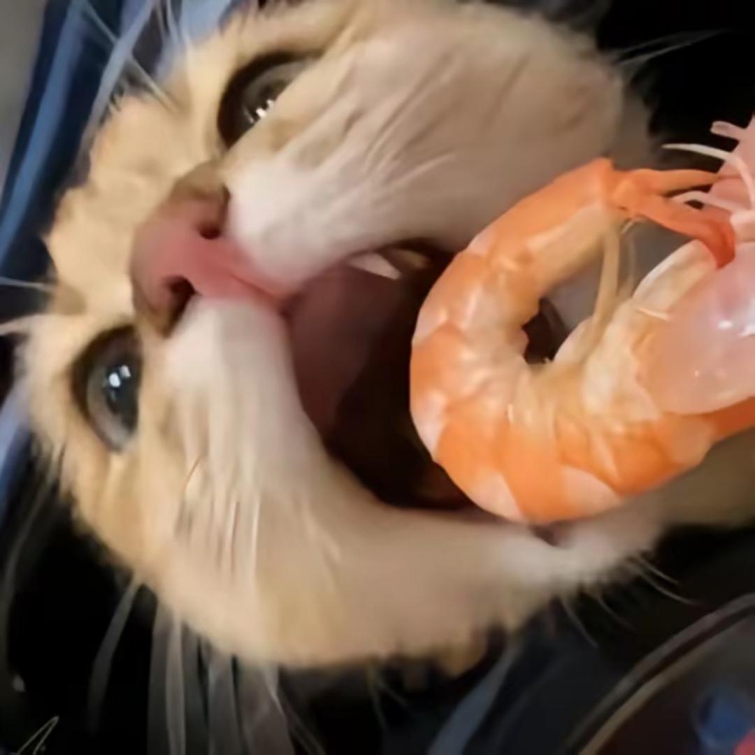 韩͏