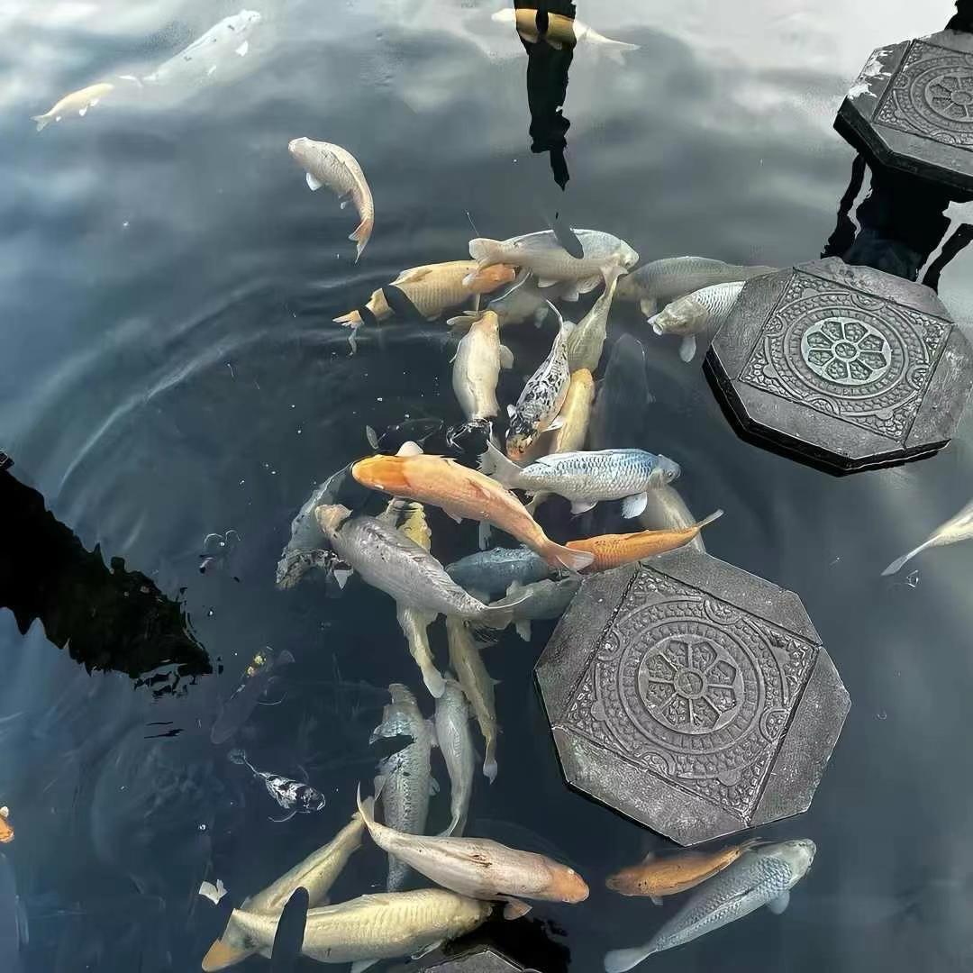 止休.