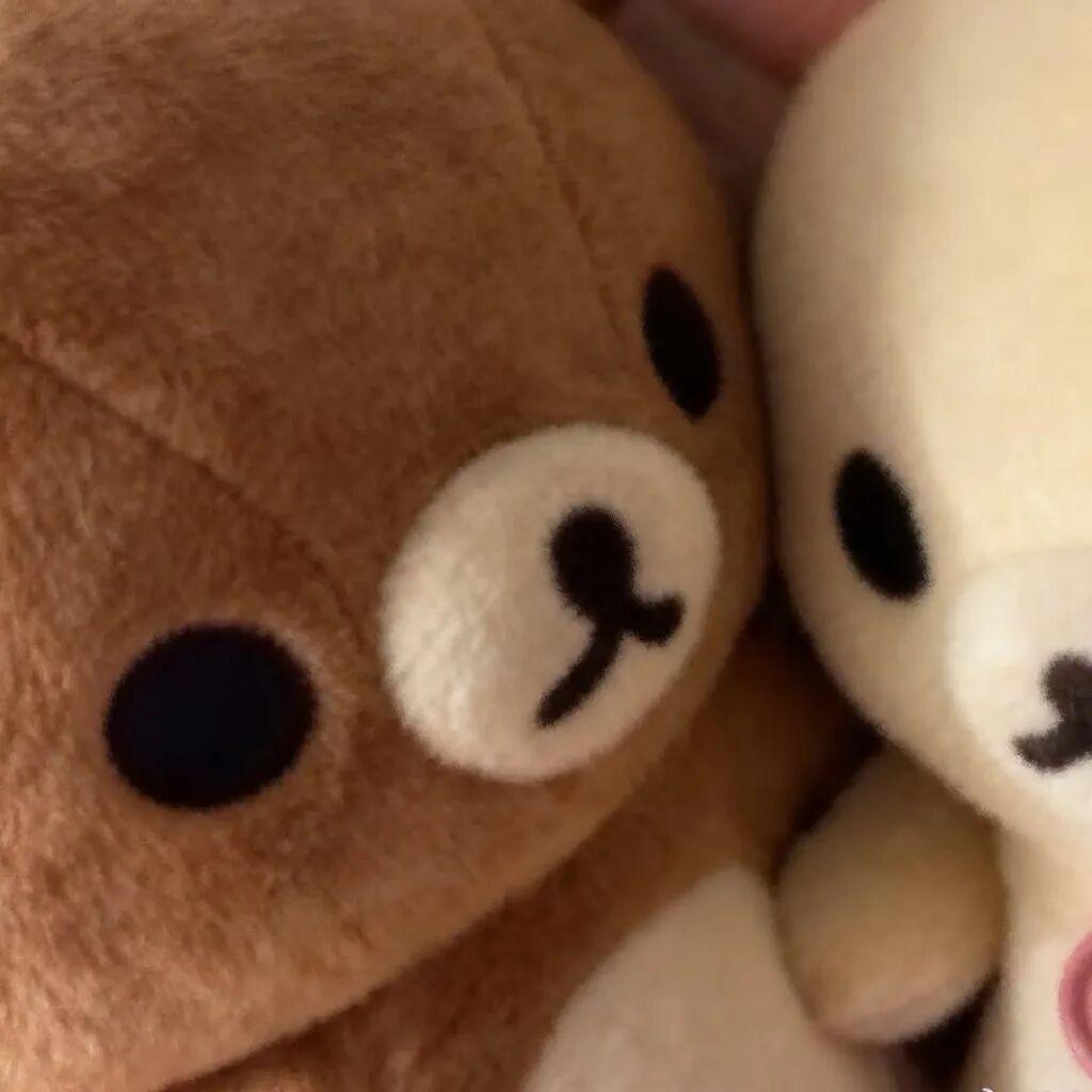 ✨柒笙✨头像