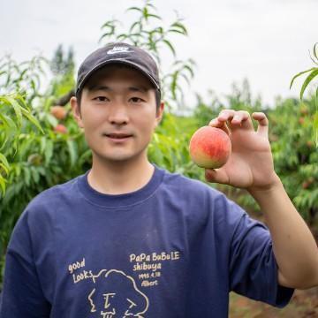 麦壳家优质水果