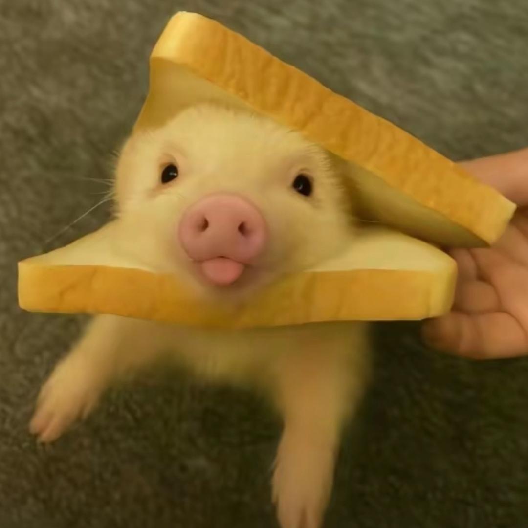 挽思绪