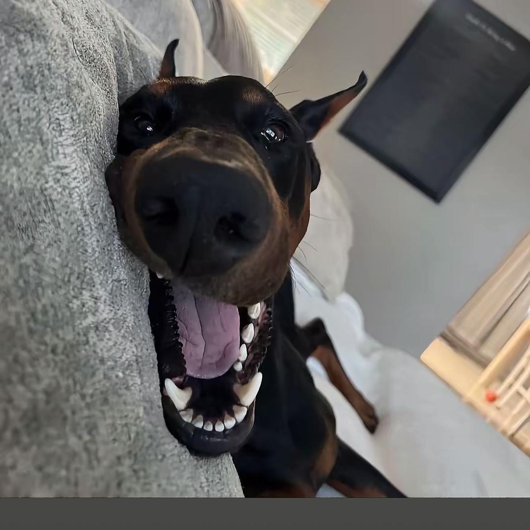 壮哥今年十七岁