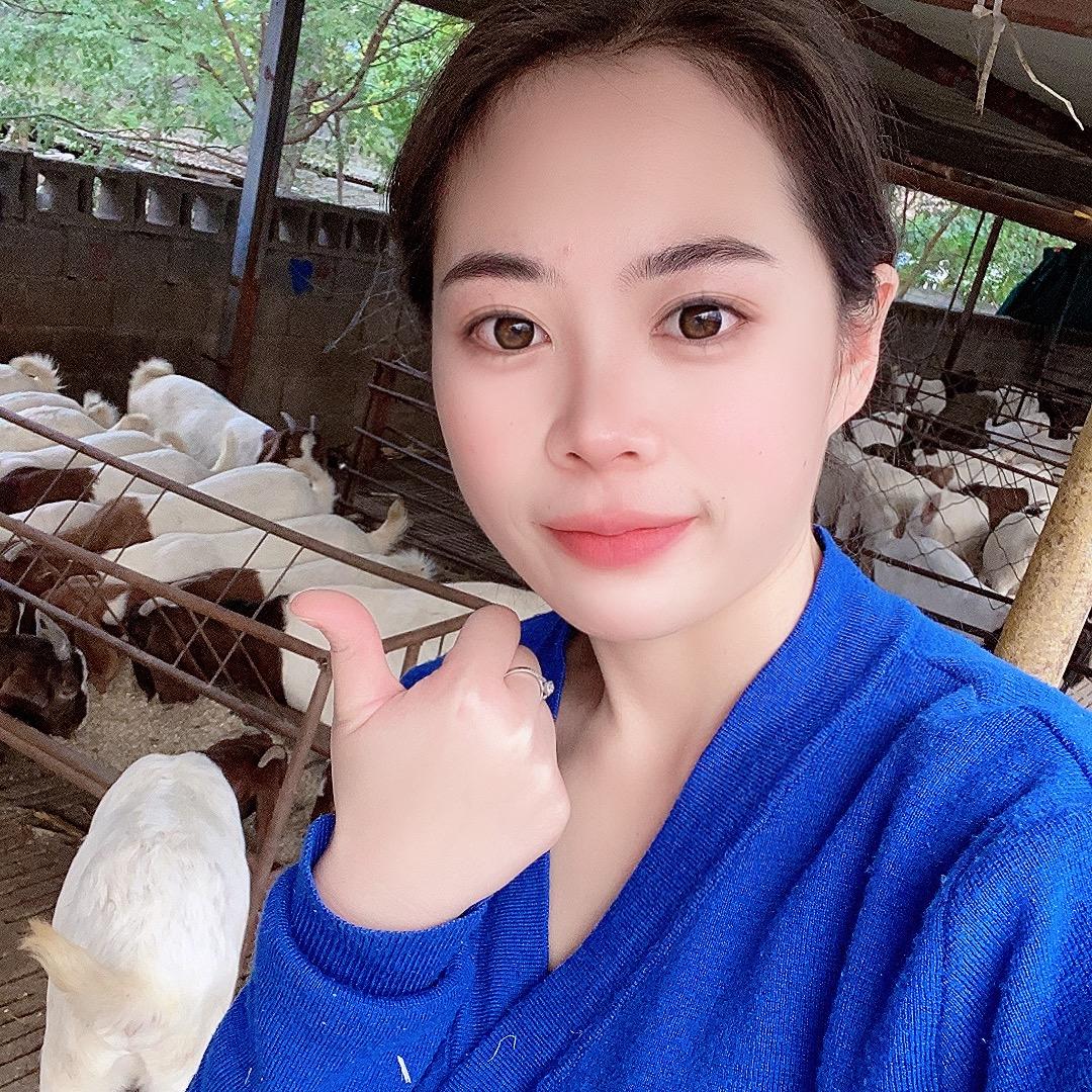 养羊李姐🔥