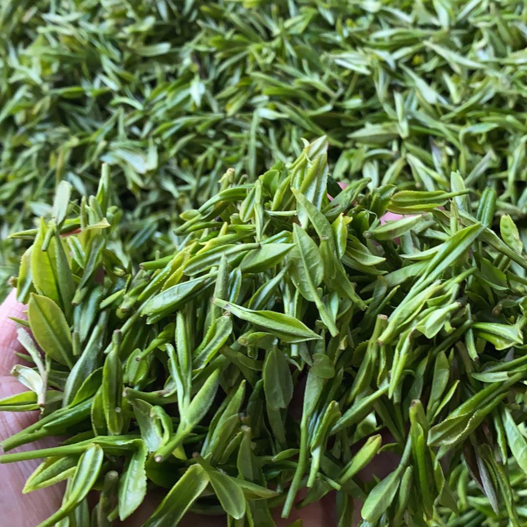 云林茶菊