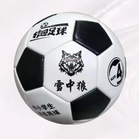 雪中狼Wolf in the snow