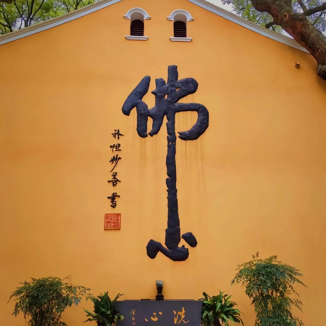 小牛在这哇.🧣