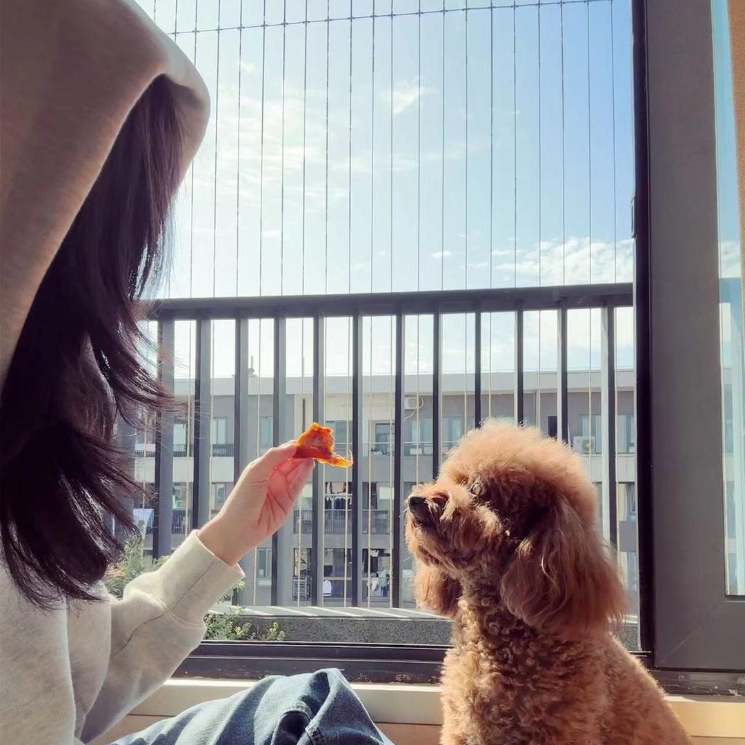 别问我我不知道吃什么