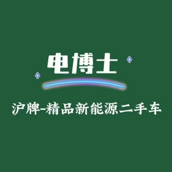 龙哥-上海电泊士新能源二手汽车