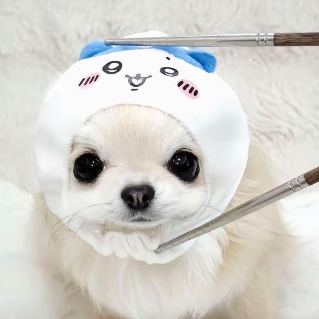 QQ草莓酱