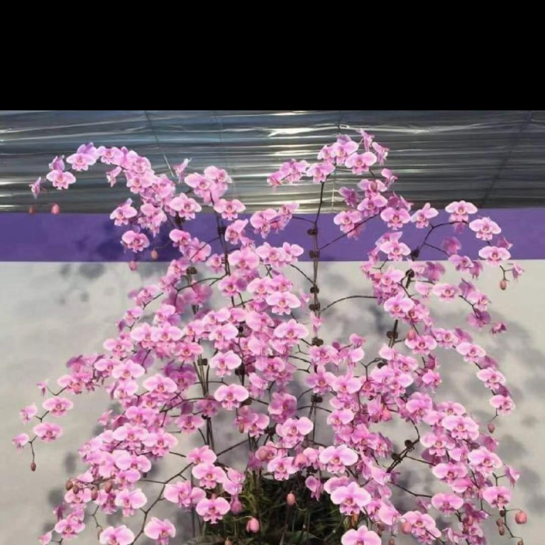 ᵕ̈ 诚业家电维修