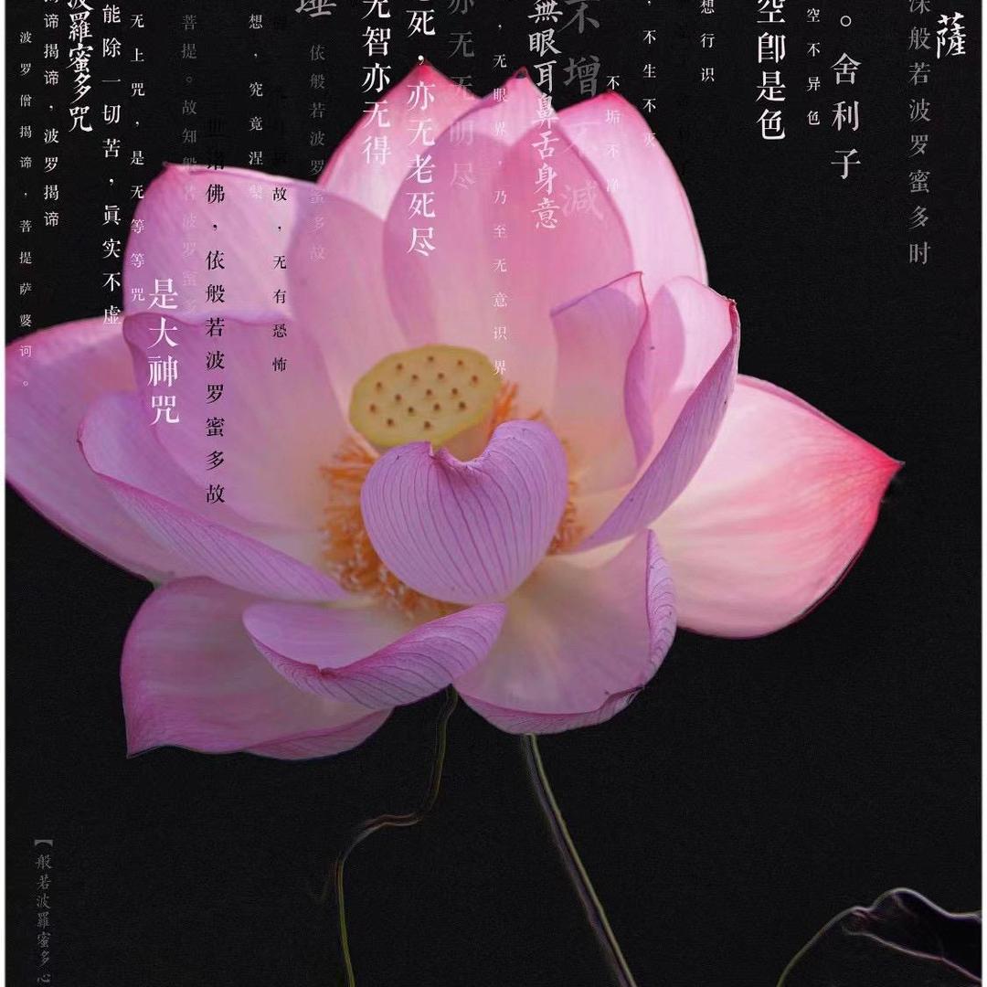 大道轮回🌸